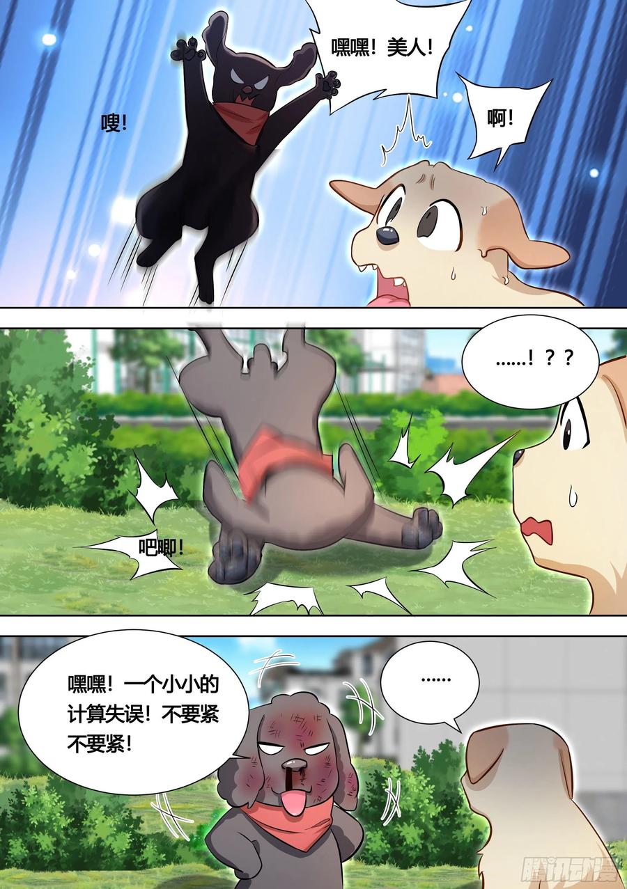 《直播：女神家的哈士奇天秀》140-关于小黄是个美人的事 第8页