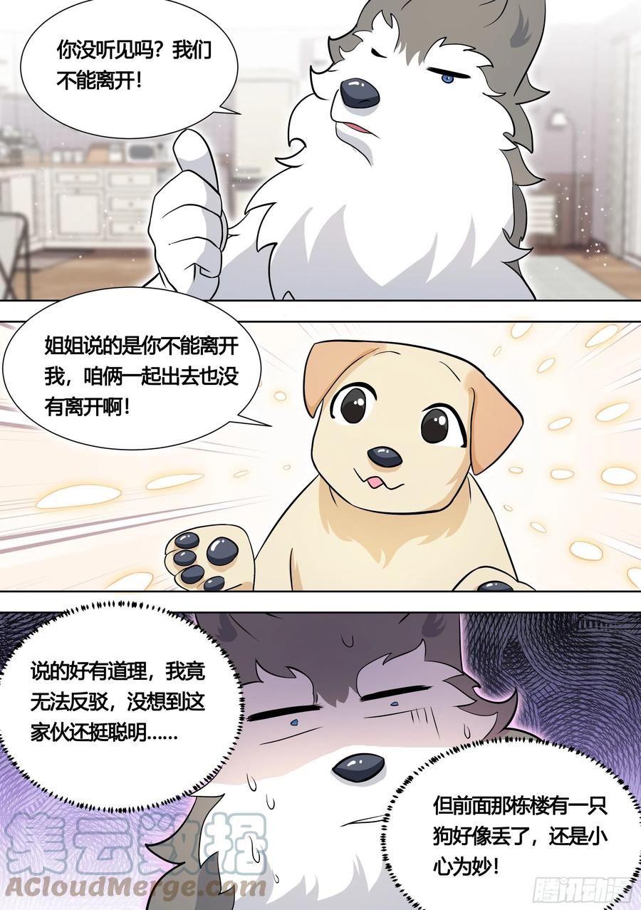 《直播：女神家的哈士奇天秀》140-关于小黄是个美人的事 第3页