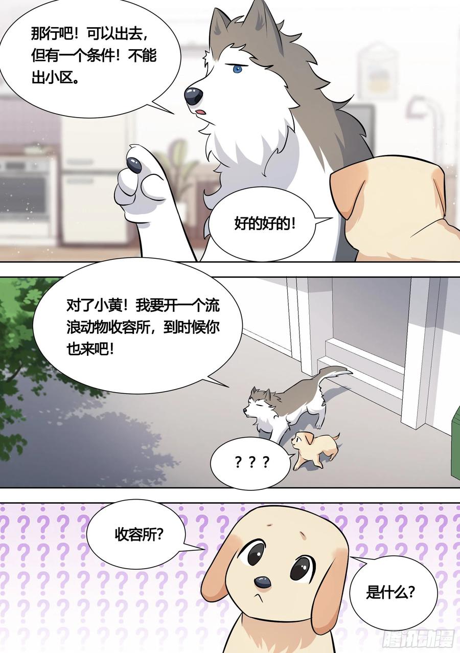 《直播：女神家的哈士奇天秀》140-关于小黄是个美人的事 第4页