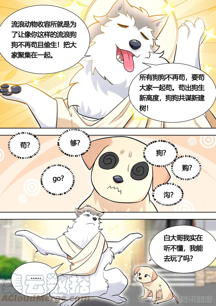 《直播：女神家的哈士奇天秀》140-关于小黄是个美人的事 第5页
