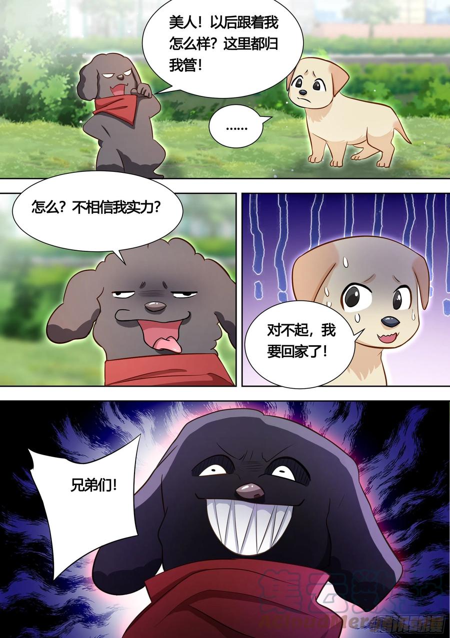 《直播：女神家的哈士奇天秀》140-关于小黄是个美人的事 第9页