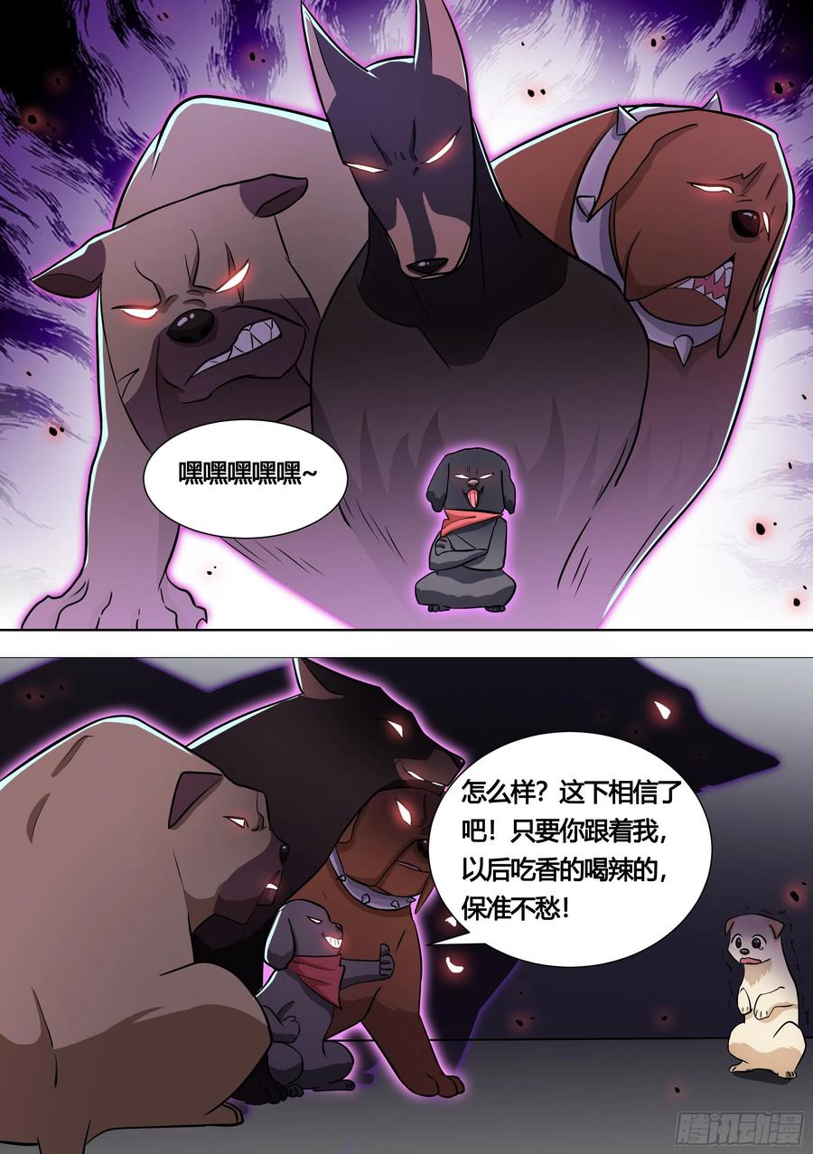 《直播：女神家的哈士奇天秀》140-关于小黄是个美人的事 第10页