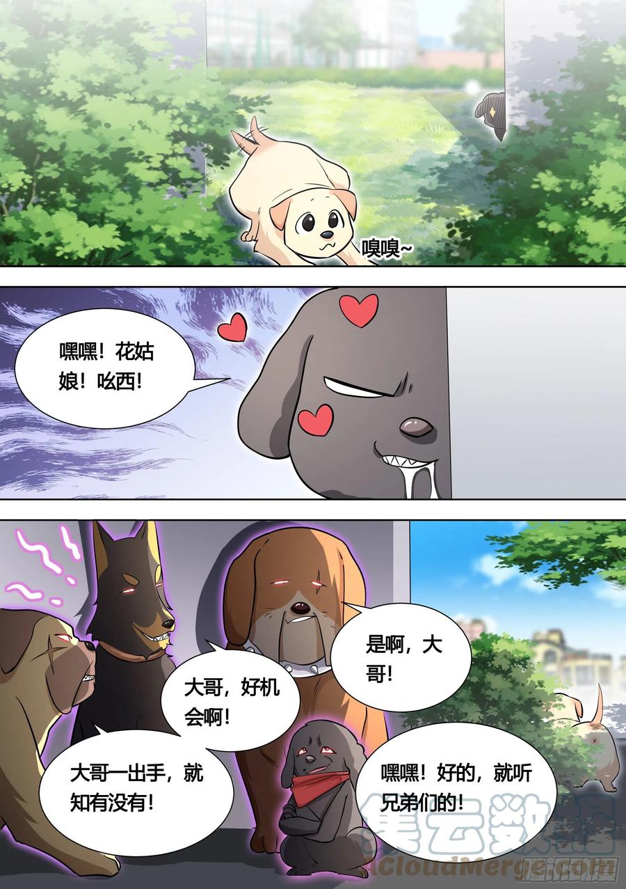 《直播：女神家的哈士奇天秀》140-关于小黄是个美人的事 第7页