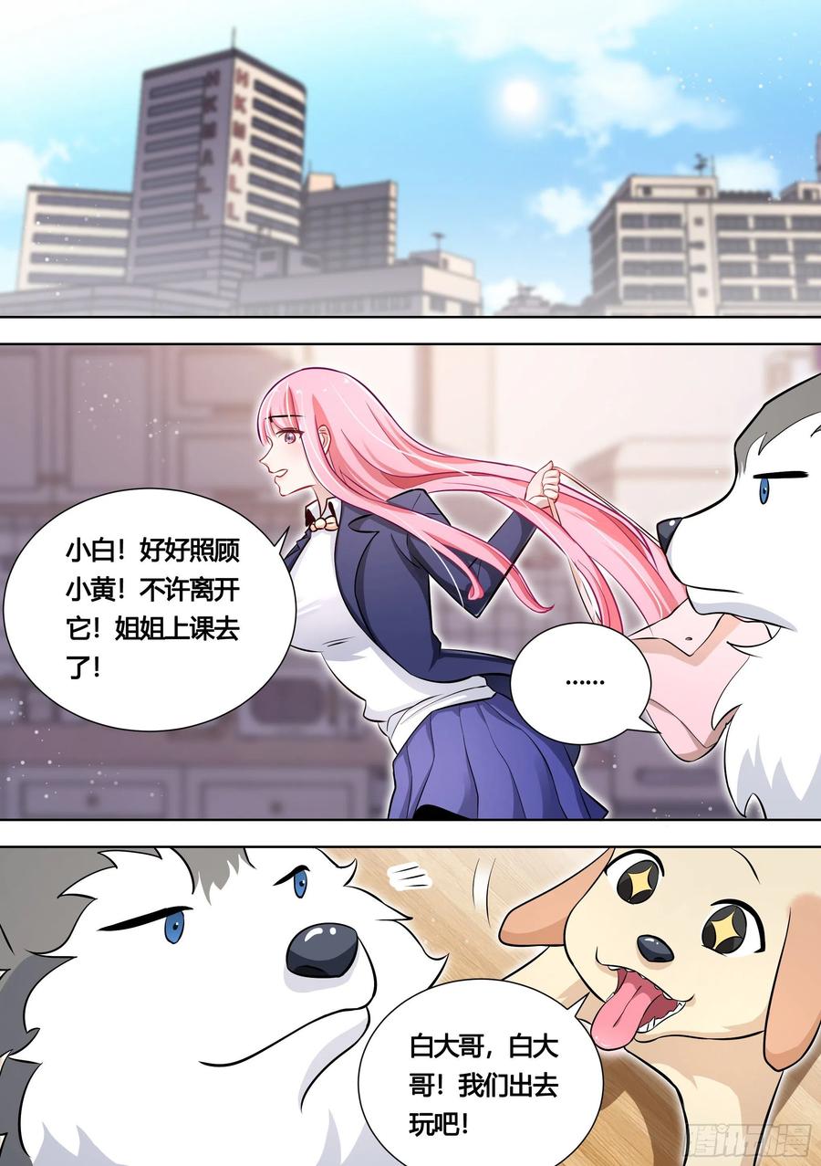 《直播：女神家的哈士奇天秀》140-关于小黄是个美人的事 第2页