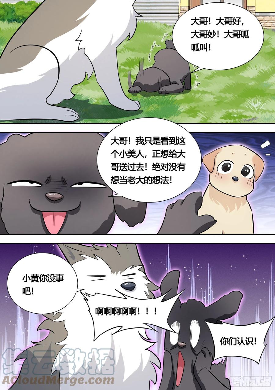 《直播：女神家的哈士奇天秀》140-关于小黄是个美人的事 第13页
