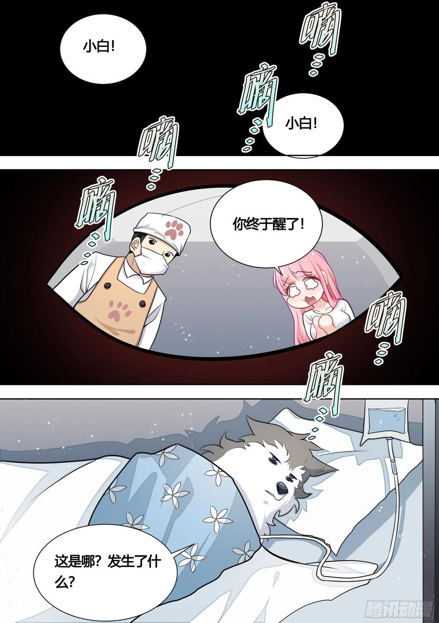 《直播：女神家的哈士奇天秀》144-小白你没事太好了！ 第2页