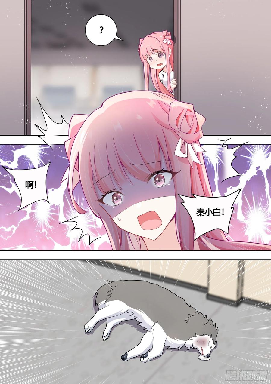 《直播：女神家的哈士奇天秀》144-小白你没事太好了！ 第4页