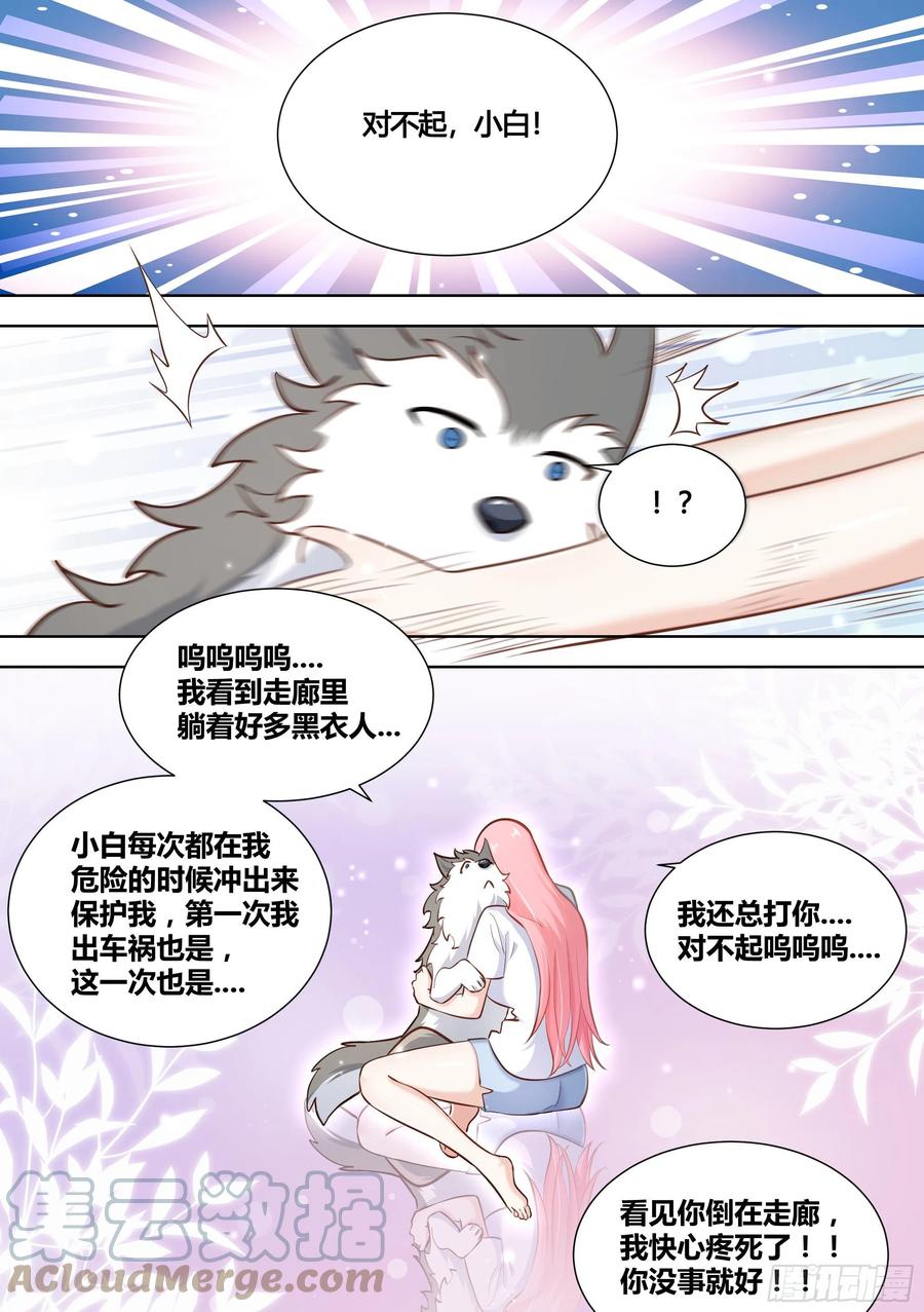 《直播：女神家的哈士奇天秀》144-小白你没事太好了！ 第9页