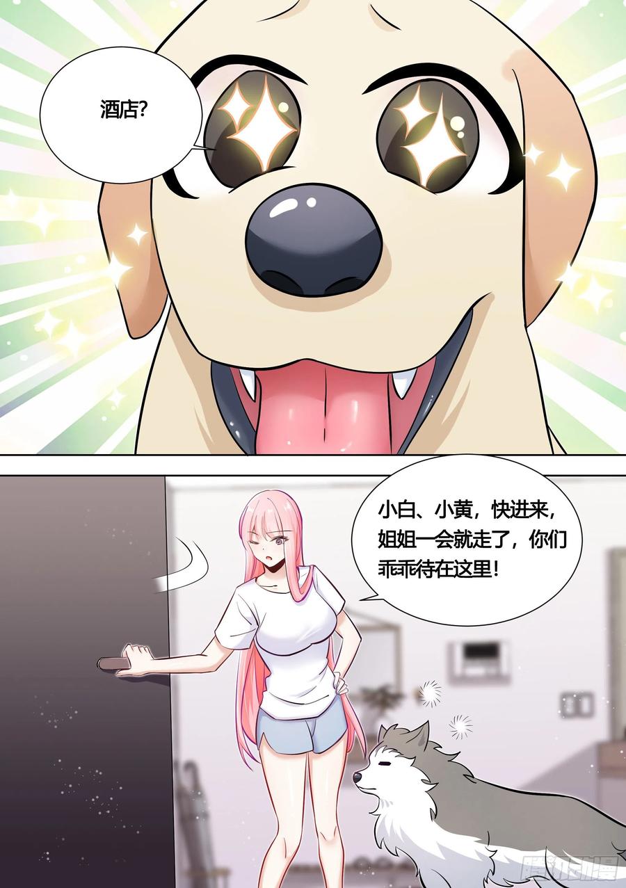 《直播：女神家的哈士奇天秀》146-带小黄住酒店！ 第12页
