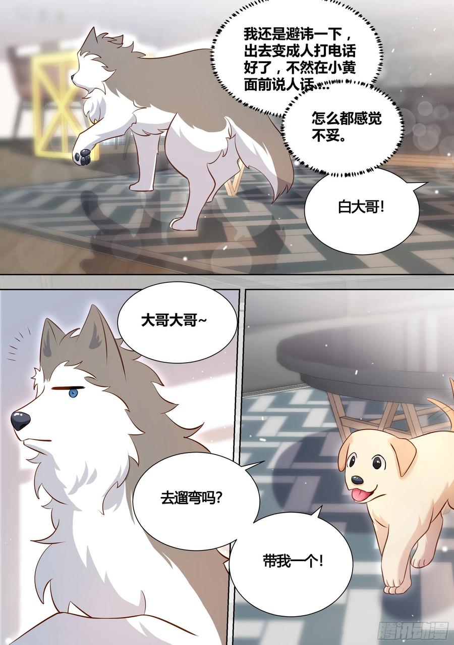 《直播：女神家的哈士奇天秀》146-带小黄住酒店！ 第6页