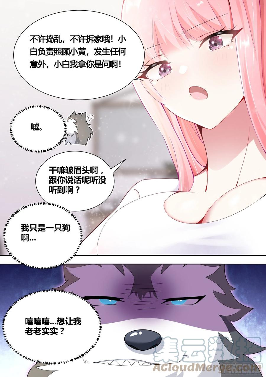 《直播：女神家的哈士奇天秀》146-带小黄住酒店！ 第13页