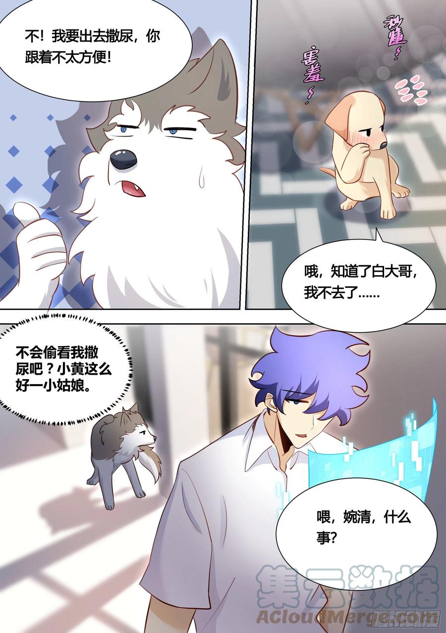 《直播：女神家的哈士奇天秀》146-带小黄住酒店！ 第7页