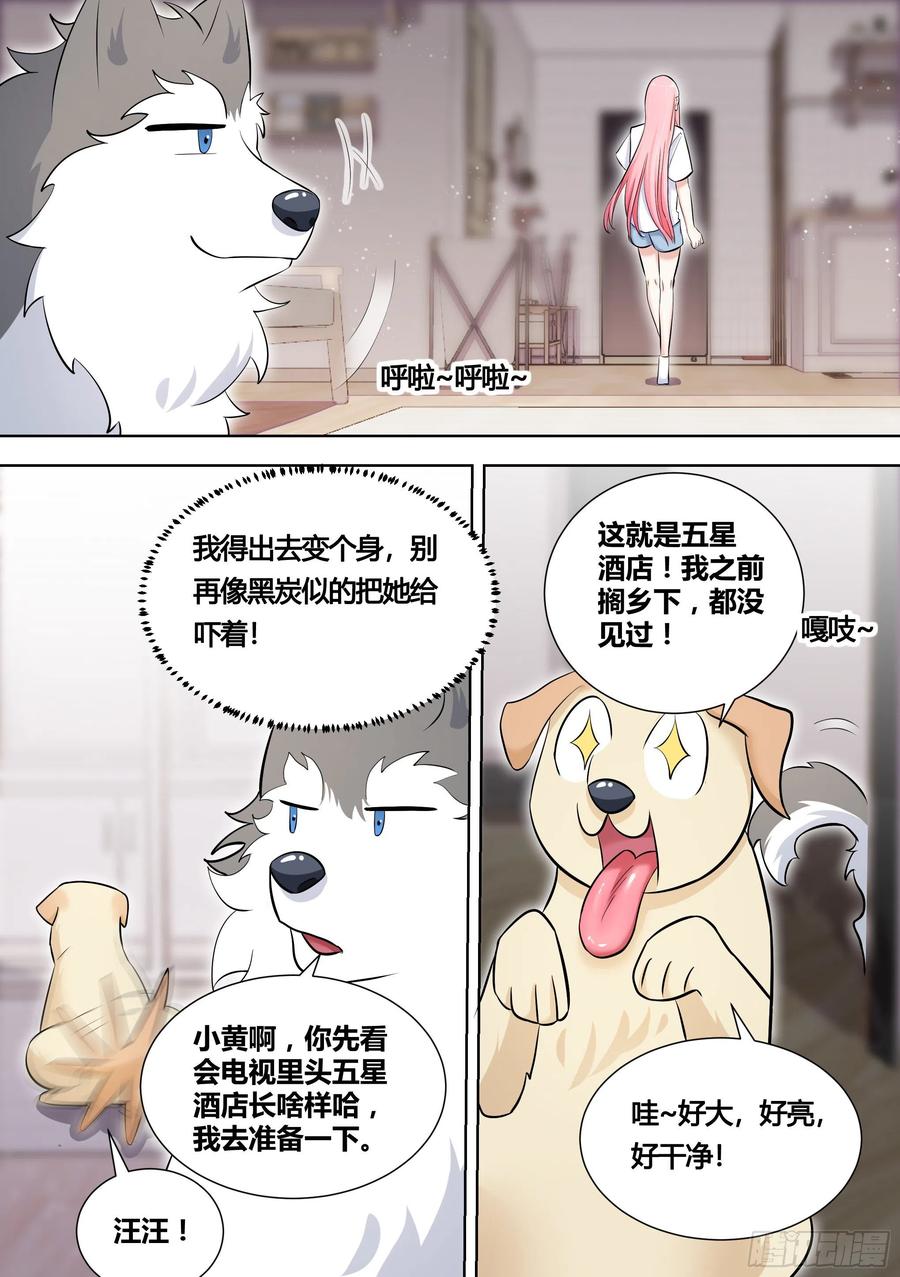 《直播：女神家的哈士奇天秀》147-快把裙子脱了 第2页