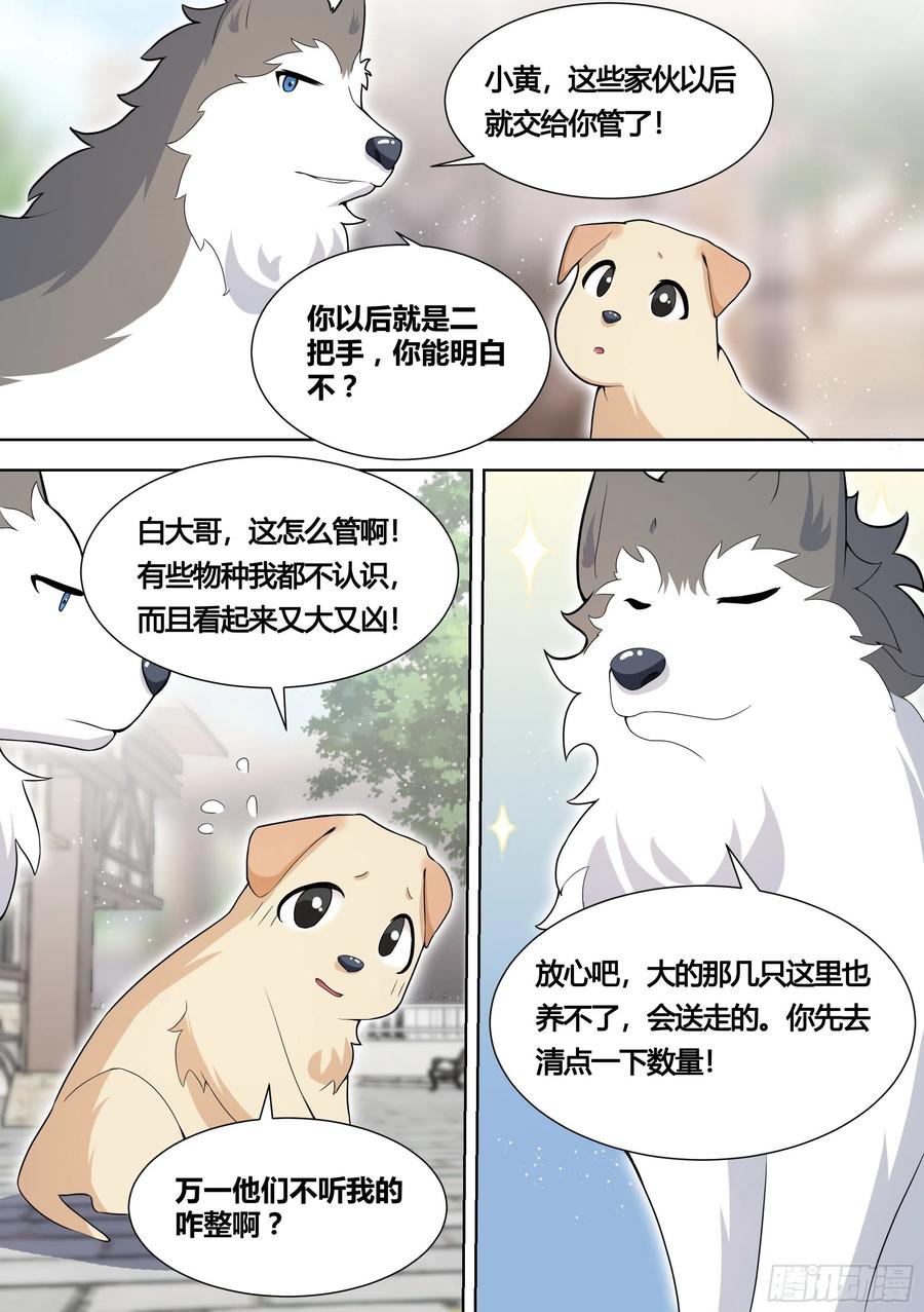 《直播：女神家的哈士奇天秀》151-这是要开动物园的节奏 第8页