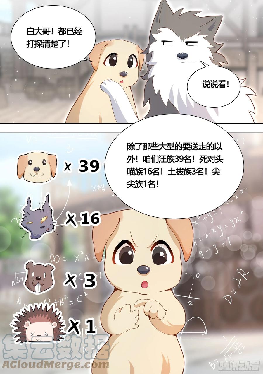 《直播：女神家的哈士奇天秀》151-这是要开动物园的节奏 第13页