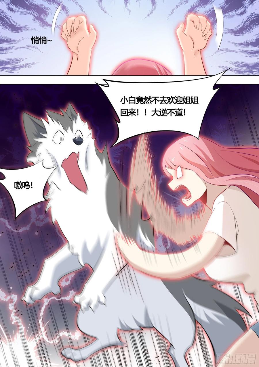《直播：女神家的哈士奇天秀》151-这是要开动物园的节奏 第2页