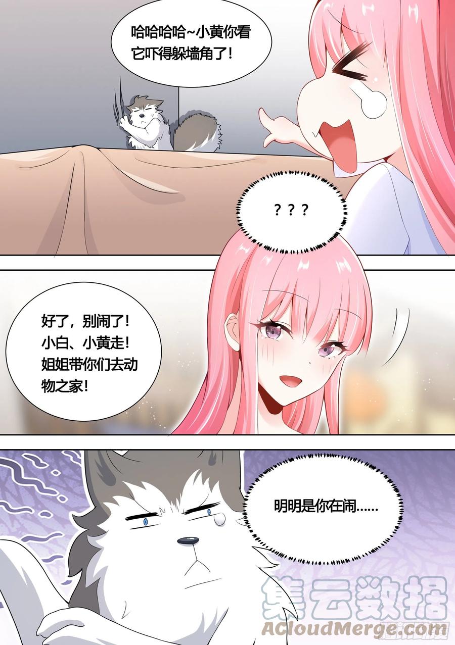 《直播：女神家的哈士奇天秀》151-这是要开动物园的节奏 第3页