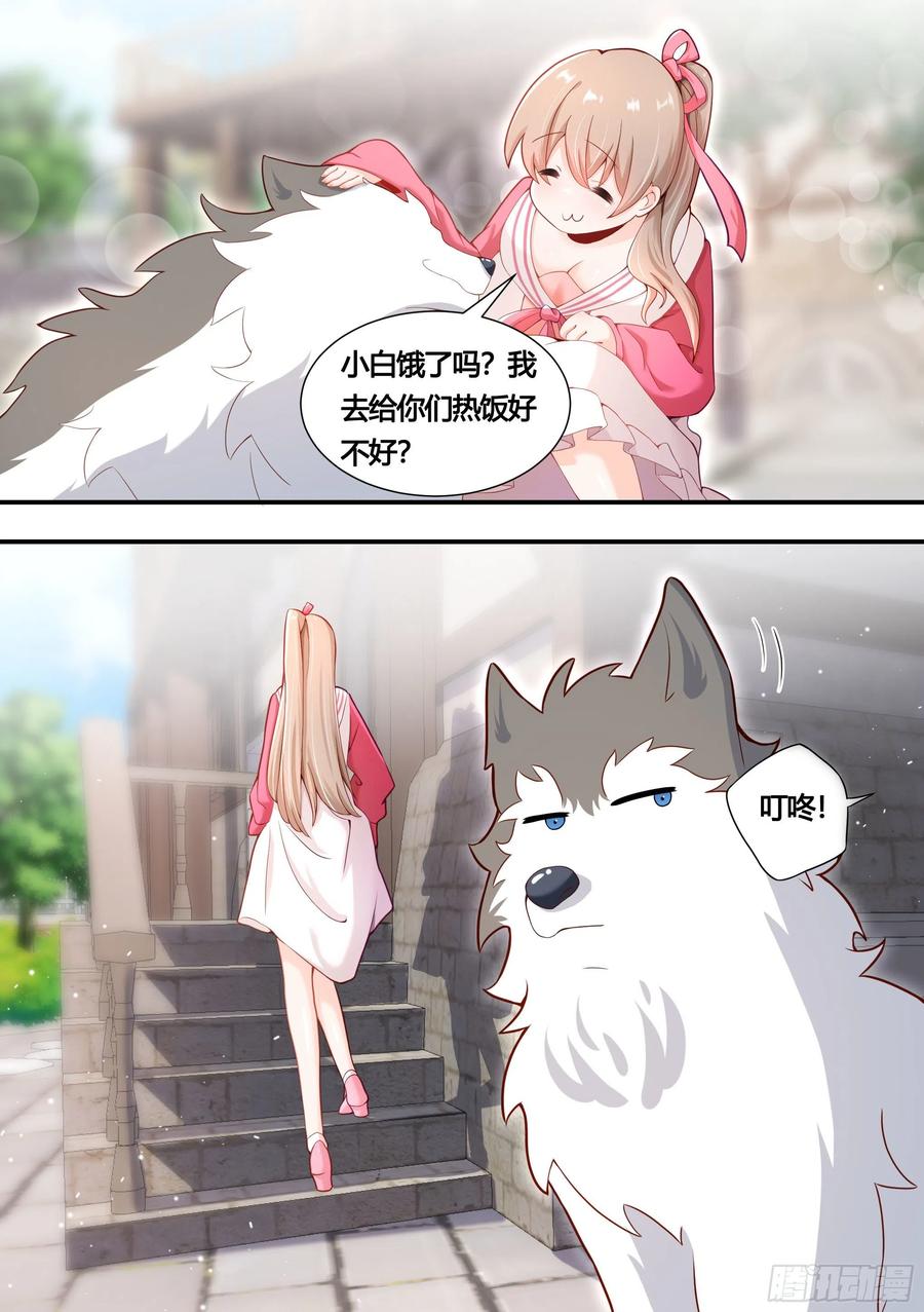 《直播：女神家的哈士奇天秀》152-网红培养，我最强 第6页