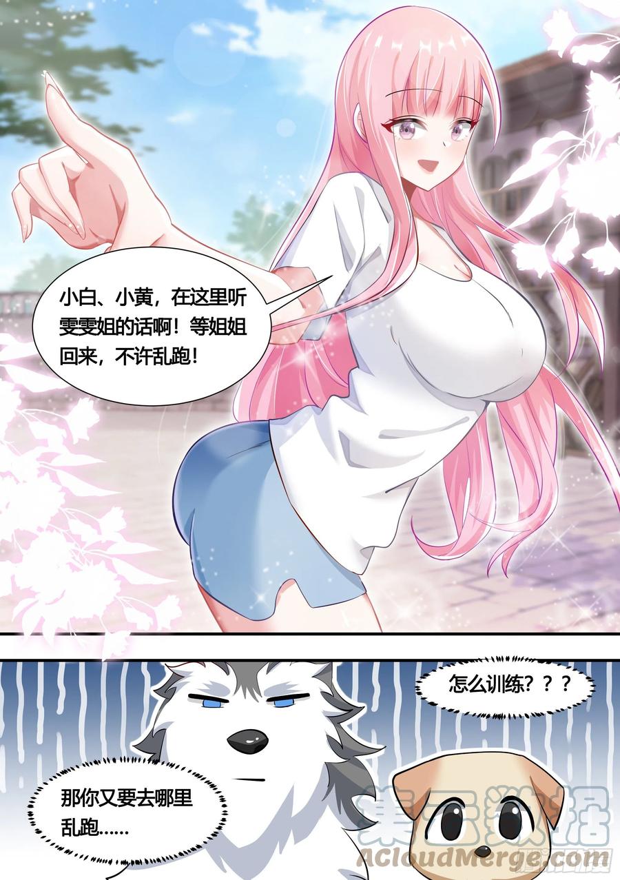 《直播：女神家的哈士奇天秀》152-网红培养，我最强 第5页