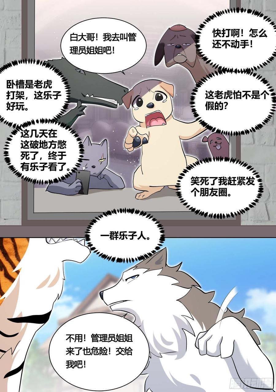《直播：女神家的哈士奇天秀》157-有老虎！ 第12页