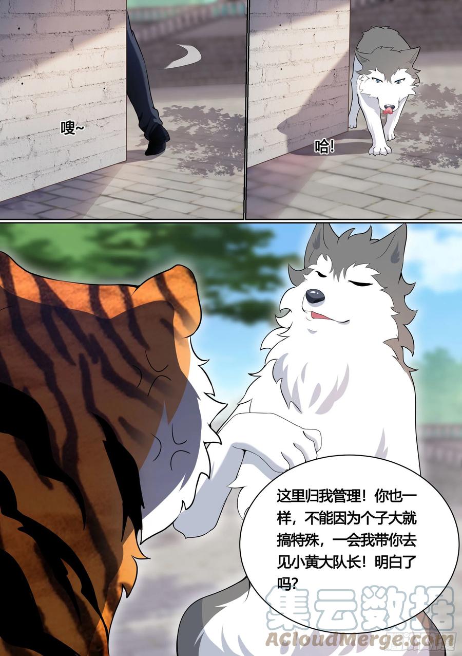 《直播：女神家的哈士奇天秀》157-有老虎！ 第9页