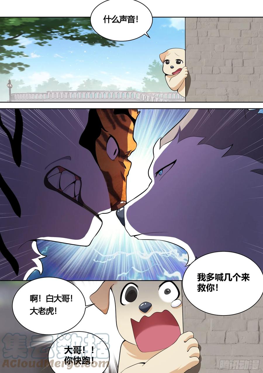 《直播：女神家的哈士奇天秀》157-有老虎！ 第11页