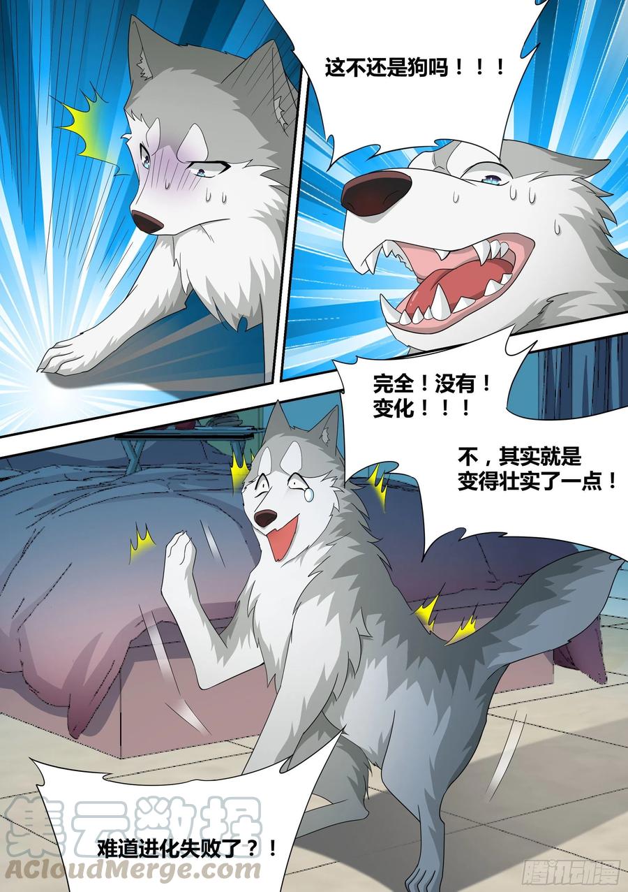 《直播：女神家的哈士奇天秀》15-狗皇进化 第13页