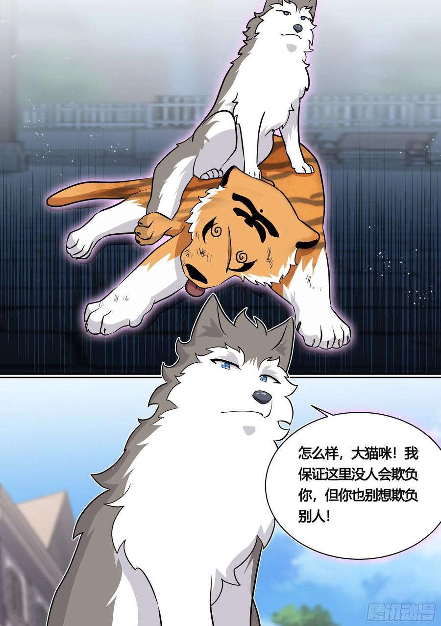《直播：女神家的哈士奇天秀》158-小白打虎 第4页