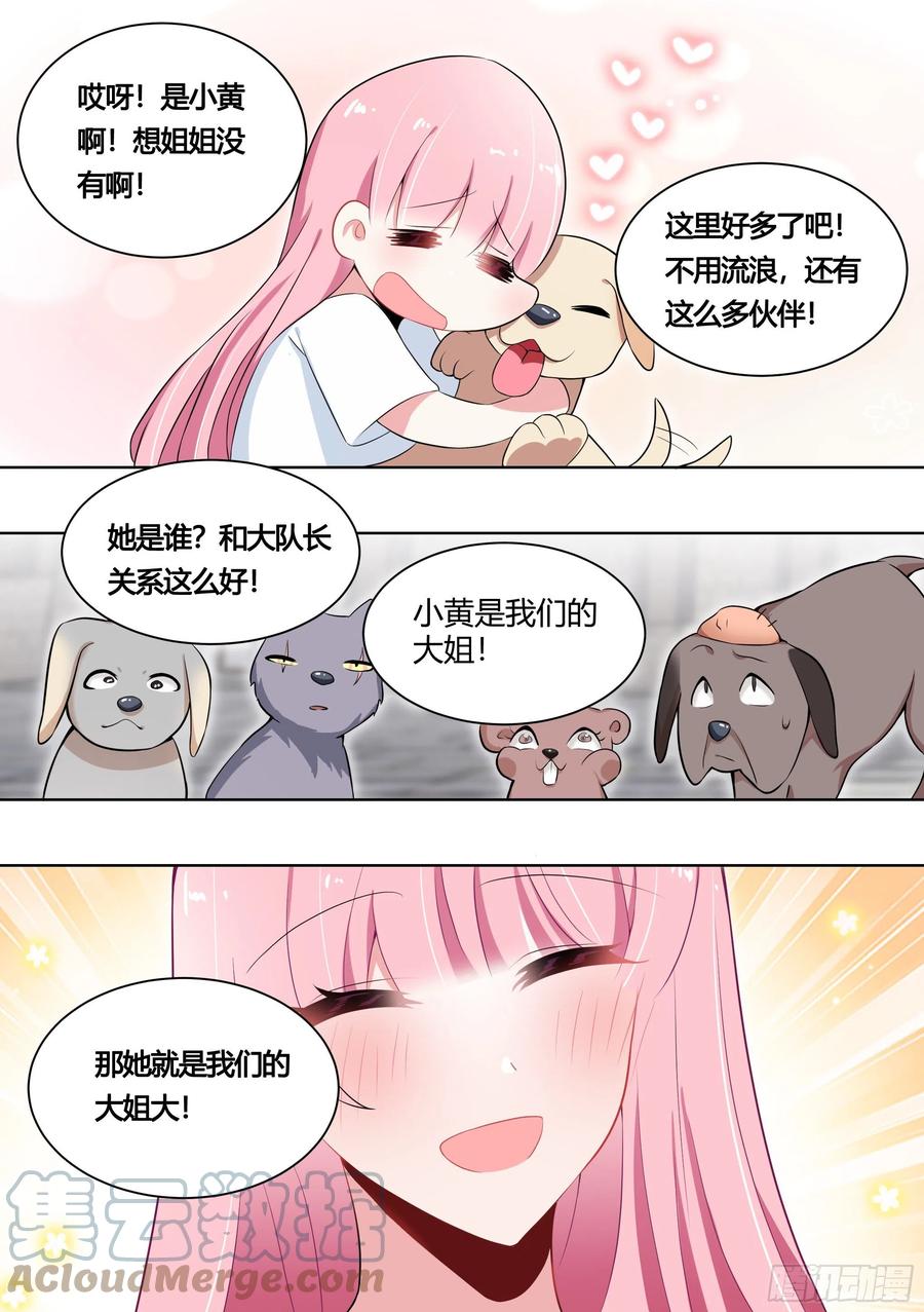 《直播：女神家的哈士奇天秀》159-愿赌服输 第11页