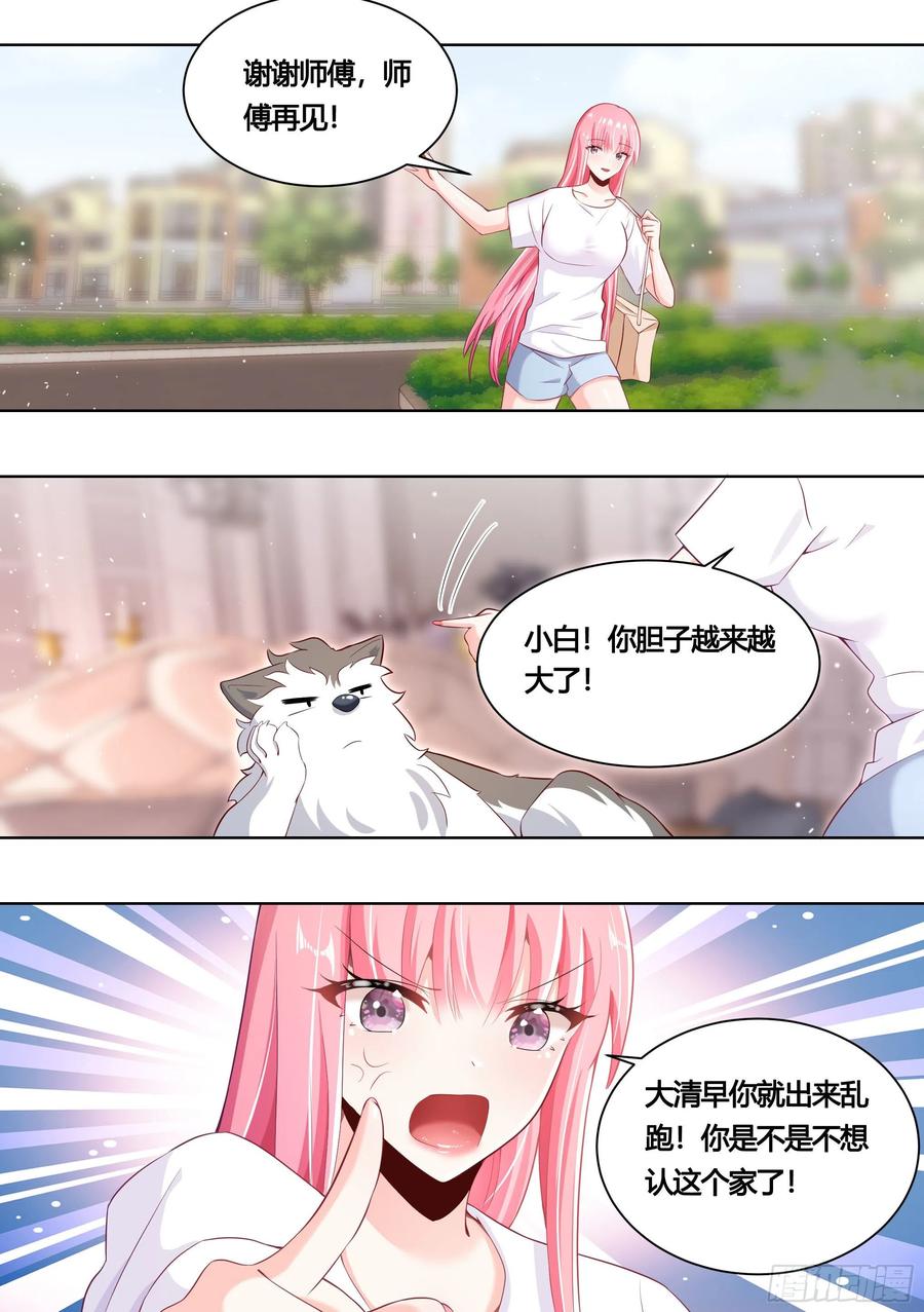 《直播：女神家的哈士奇天秀》159-愿赌服输 第6页