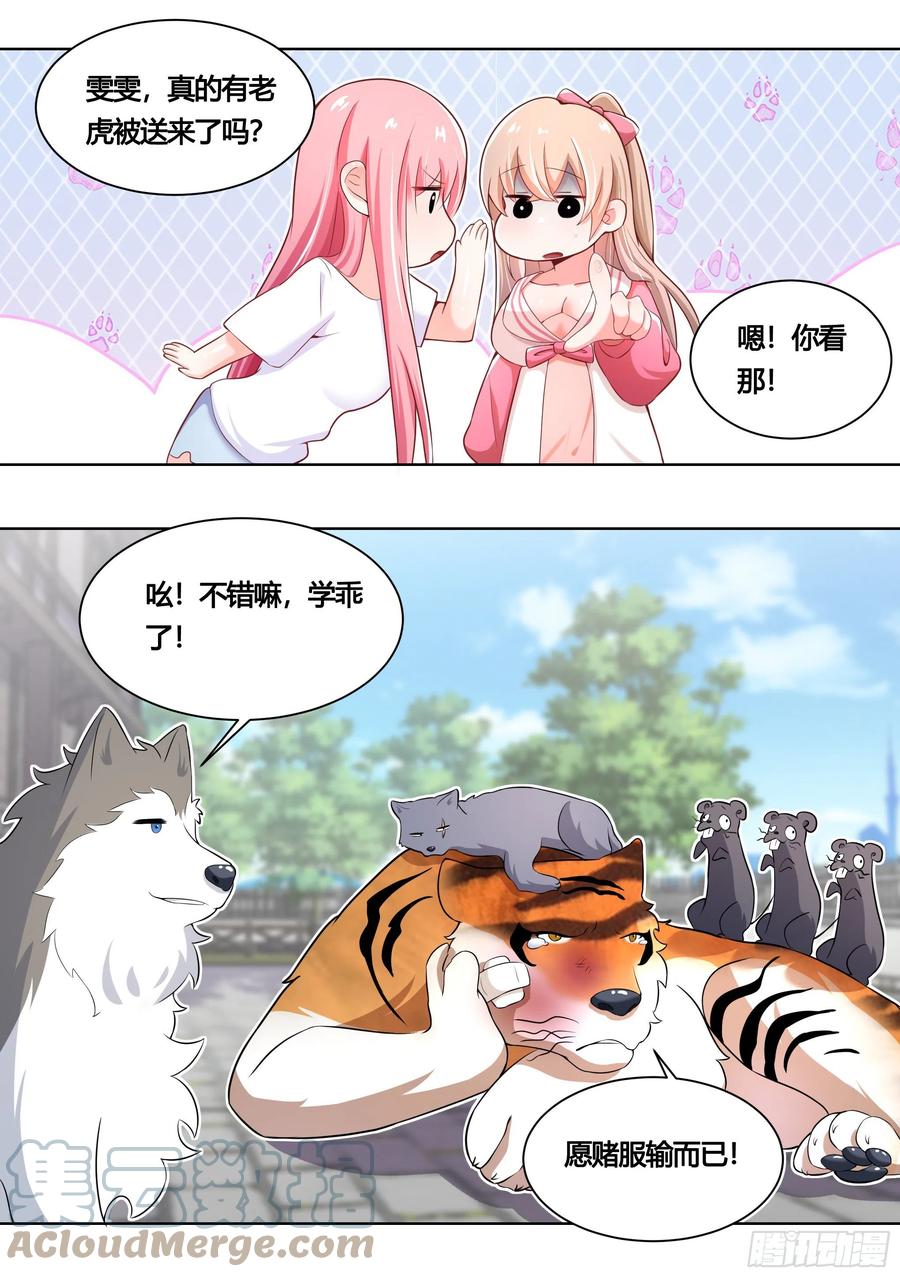 《直播：女神家的哈士奇天秀》159-愿赌服输 第9页