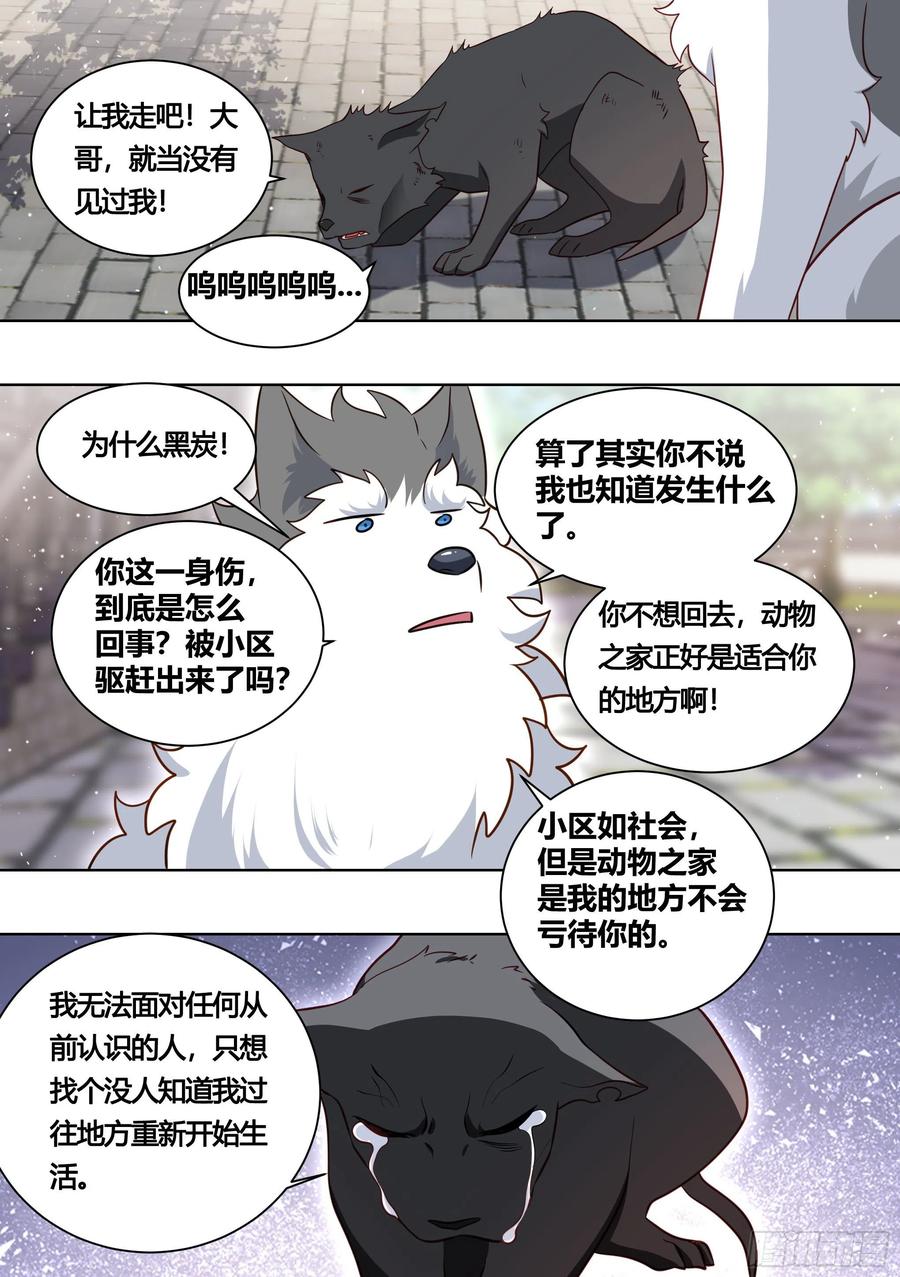 《直播：女神家的哈士奇天秀》160-落魄小弟求收留 第4页