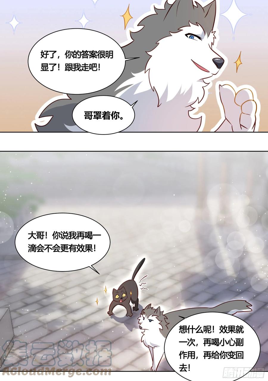 《直播：女神家的哈士奇天秀》160-落魄小弟求收留 第11页