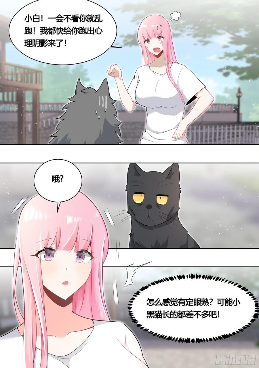 《直播：女神家的哈士奇天秀》160-落魄小弟求收留 第12页