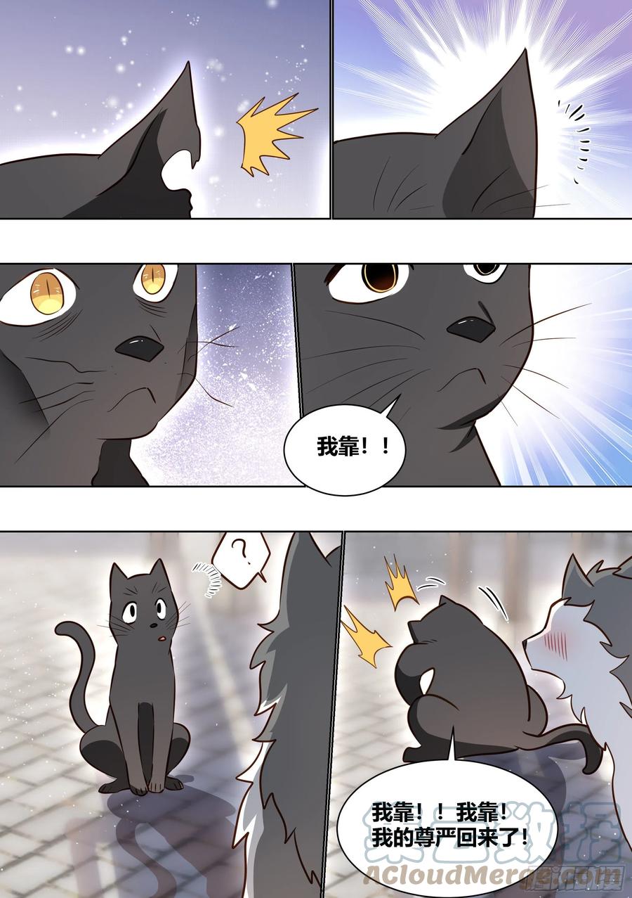 《直播：女神家的哈士奇天秀》160-落魄小弟求收留 第7页