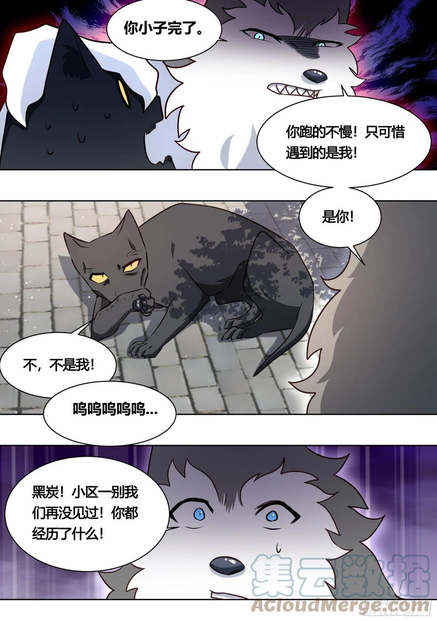 《直播：女神家的哈士奇天秀》160-落魄小弟求收留 第3页