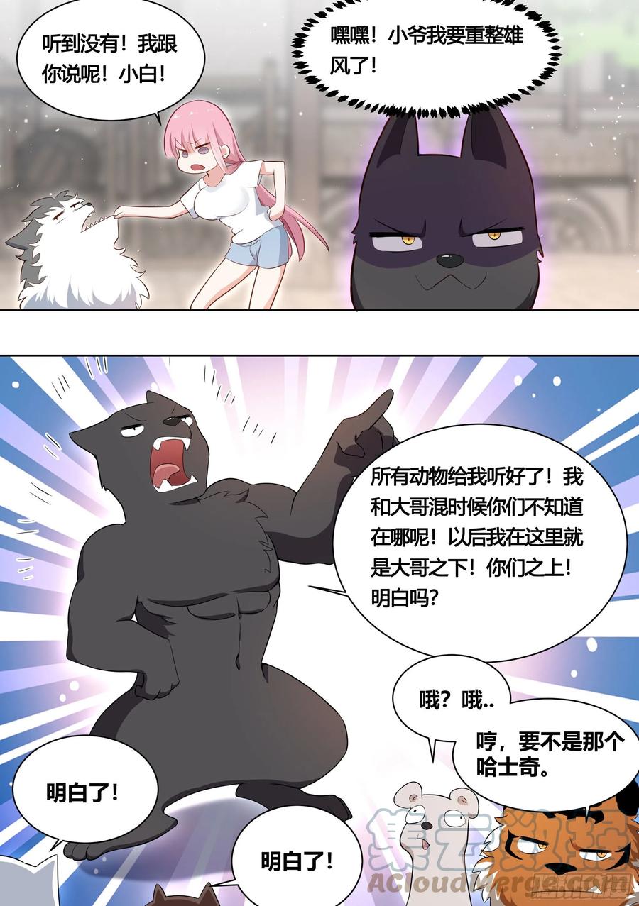 《直播：女神家的哈士奇天秀》160-落魄小弟求收留 第13页