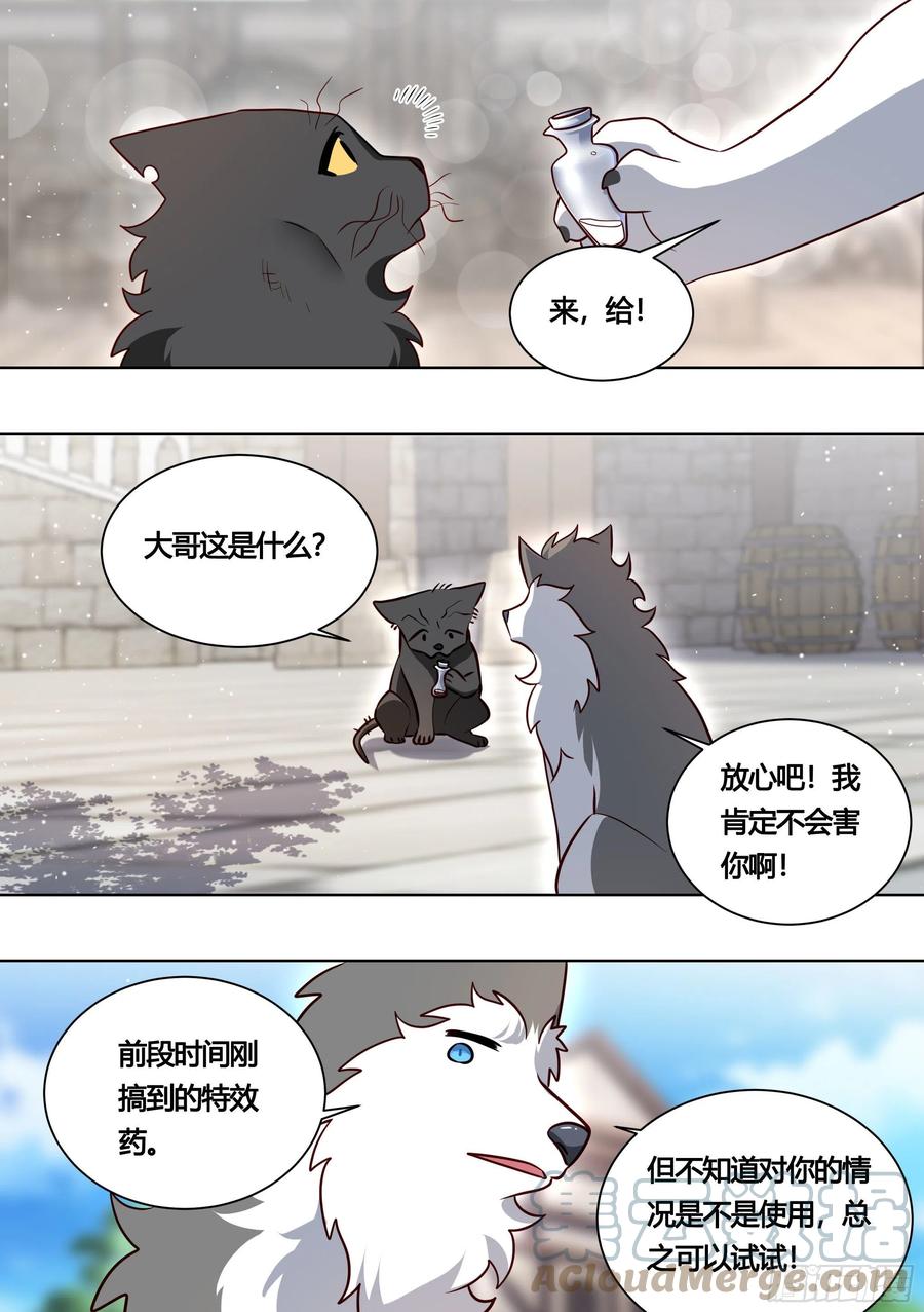 《直播：女神家的哈士奇天秀》160-落魄小弟求收留 第5页