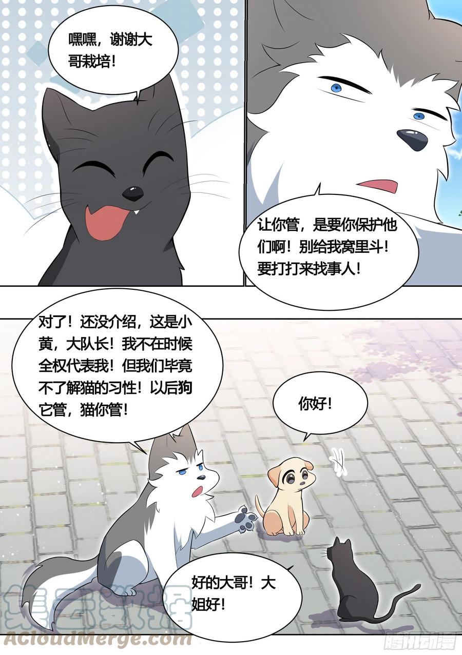 《直播：女神家的哈士奇天秀》161-药水的威力 第9页