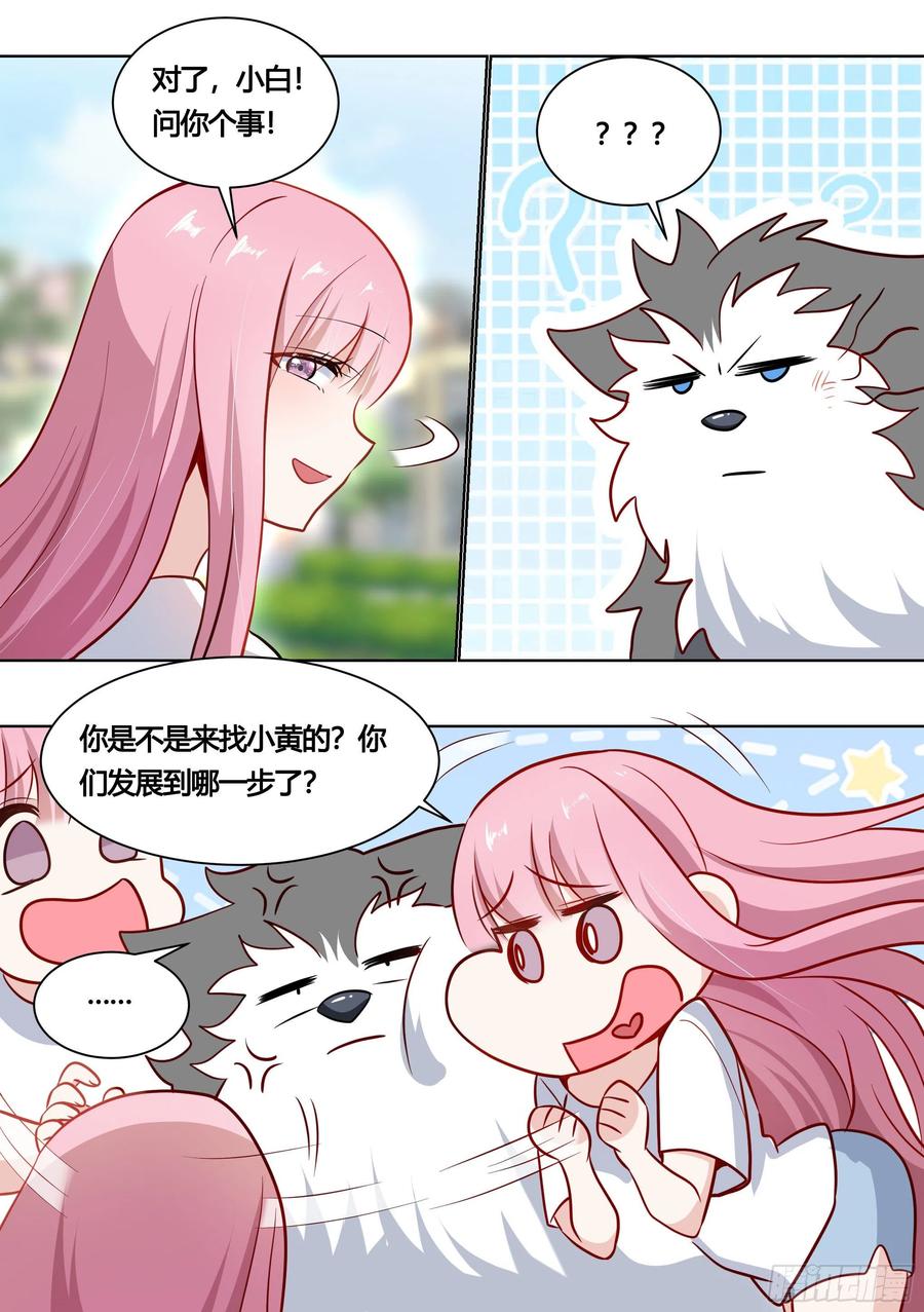 《直播：女神家的哈士奇天秀》162-强行拉郎 第8页