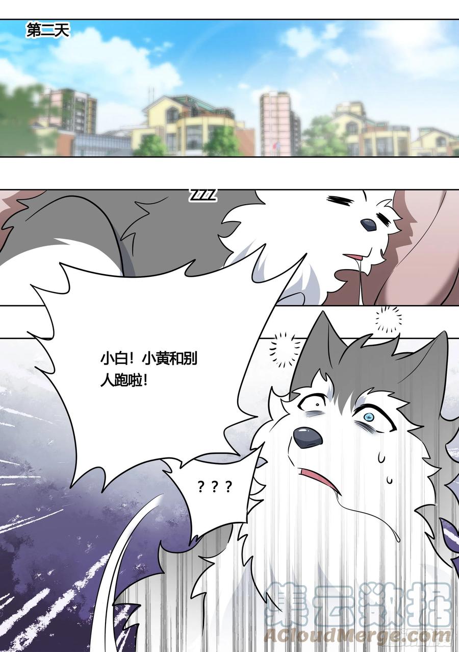 《直播：女神家的哈士奇天秀》162-强行拉郎 第13页