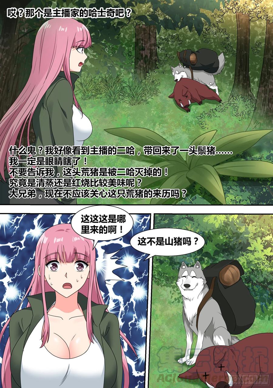 《直播：女神家的哈士奇天秀》17-开始荒野生存！ 第13页