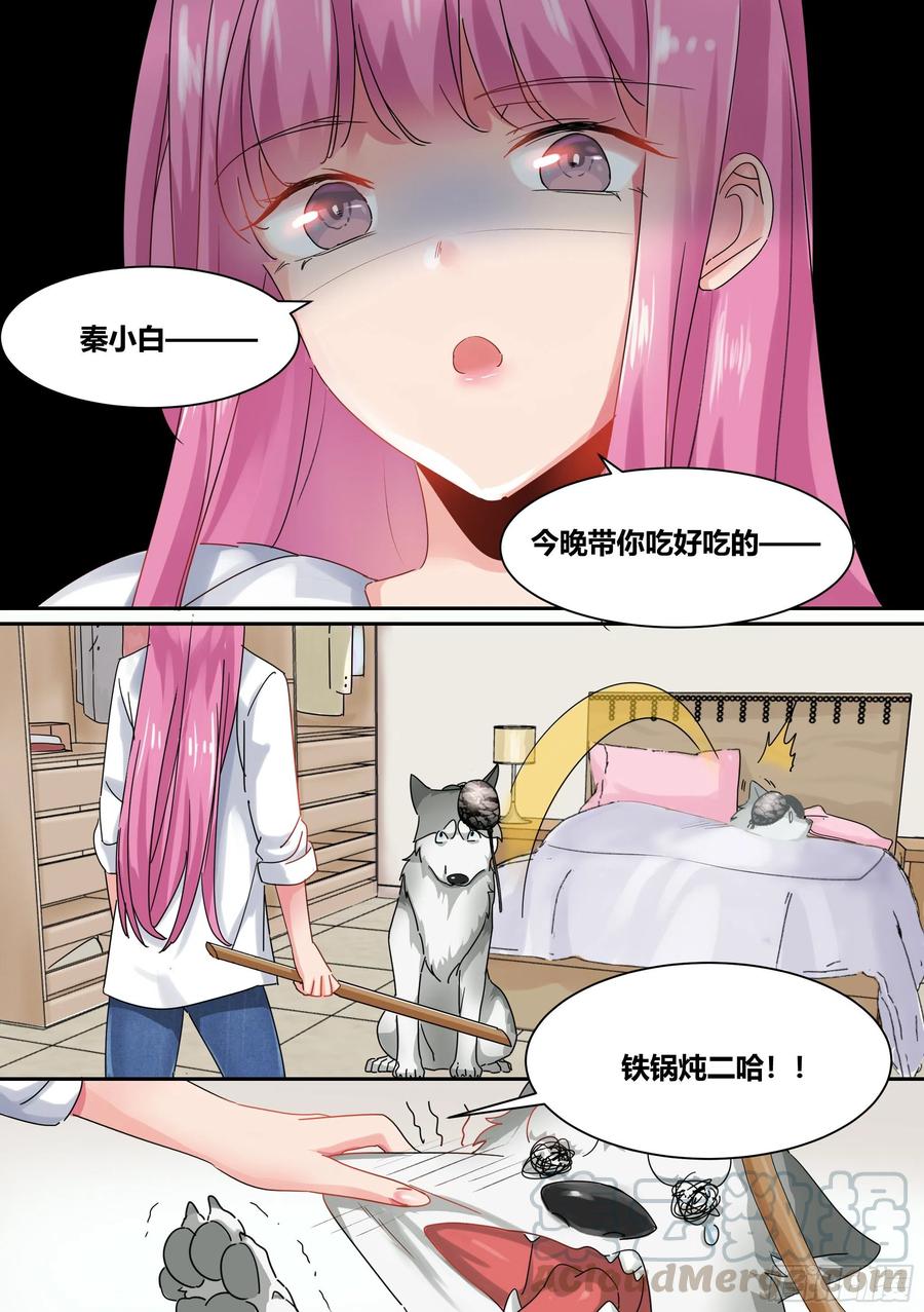 《直播：女神家的哈士奇天秀》1-我为什么变成了狗？！ 第13页