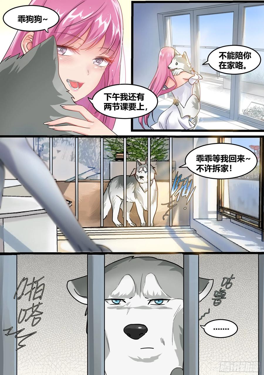《直播：女神家的哈士奇天秀》1-我为什么变成了狗？！ 第6页