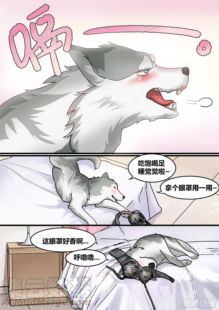 《直播：女神家的哈士奇天秀》1-我为什么变成了狗？！ 第9页