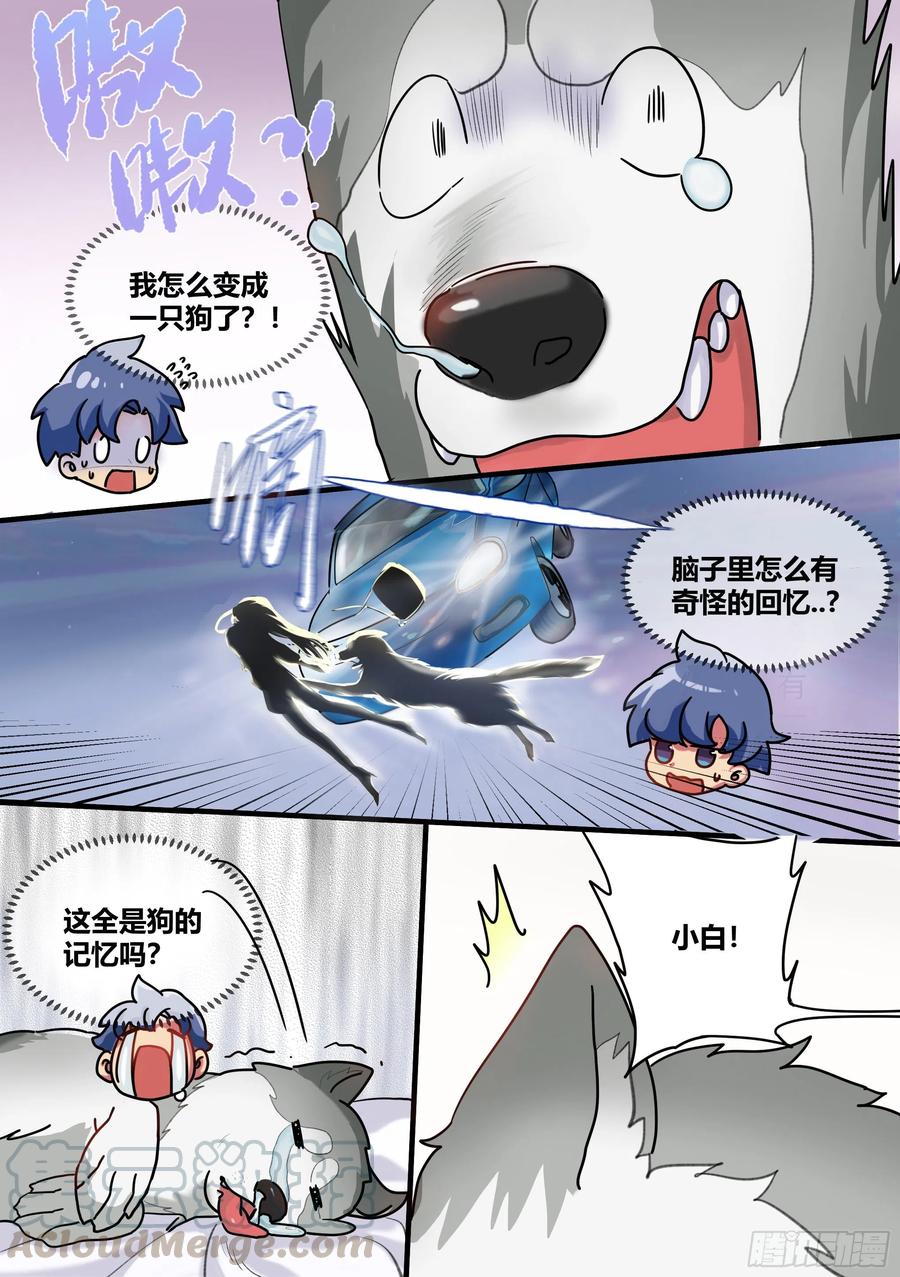 《直播：女神家的哈士奇天秀》1-我为什么变成了狗？！ 第3页