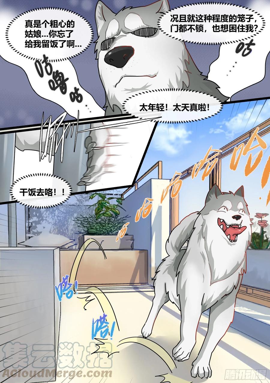《直播：女神家的哈士奇天秀》1-我为什么变成了狗？！ 第7页
