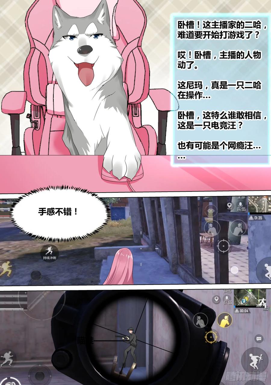 《直播：女神家的哈士奇天秀》21-打赏“吃土少女” 第6页