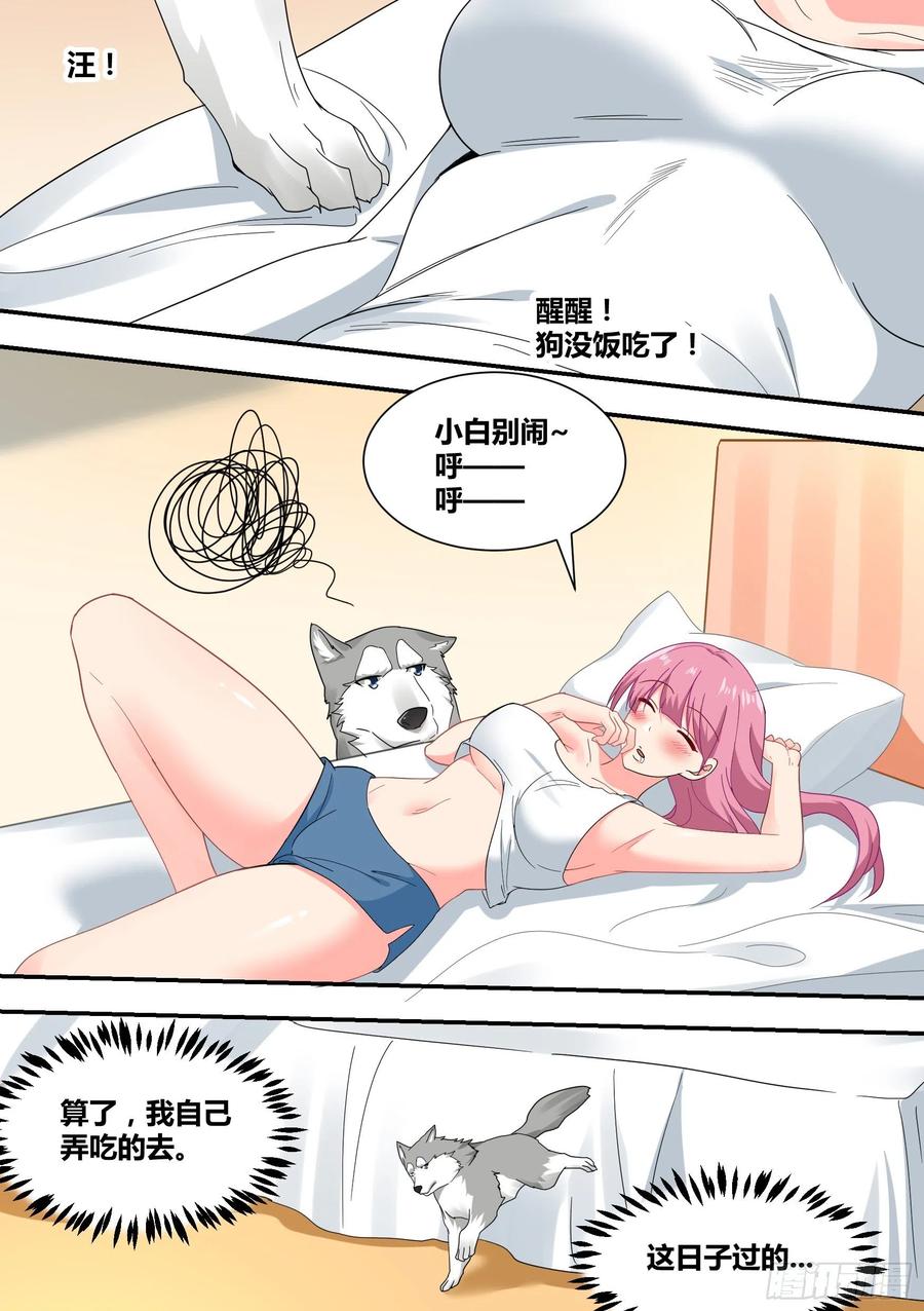 《直播：女神家的哈士奇天秀》22-拆家基因觉醒 第6页