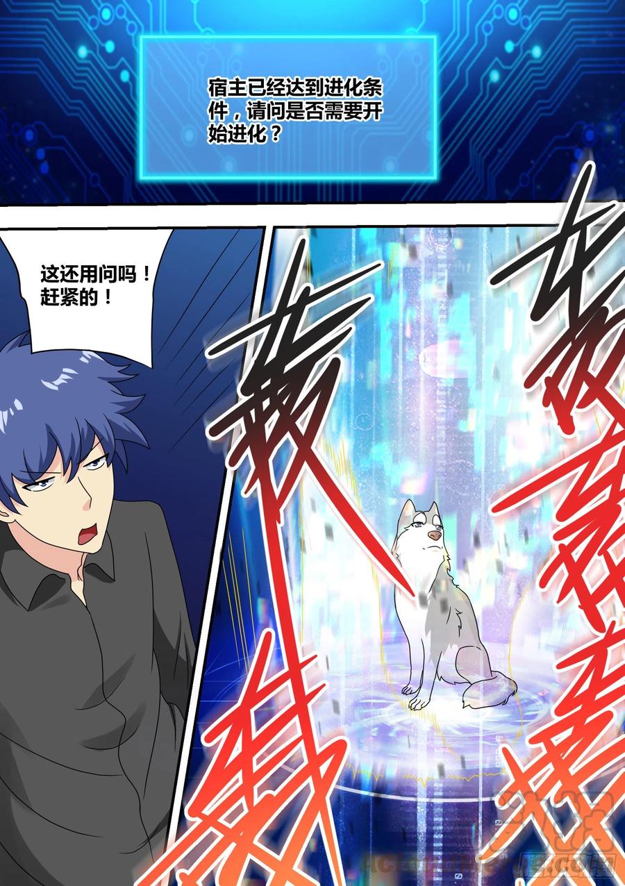 《直播：女神家的哈士奇天秀》22-拆家基因觉醒 第13页